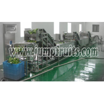 Fruit Fruit Aloe Mango Processing Line